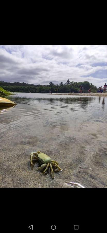 Hostal Estrellas Del Tayrona Playa Mendihuaca Guachaca 外观 照片